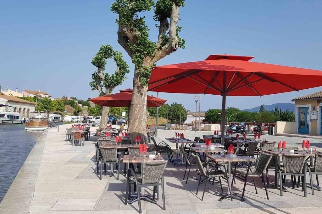 Apartamento Chez Gaelle Trèbes Exterior foto